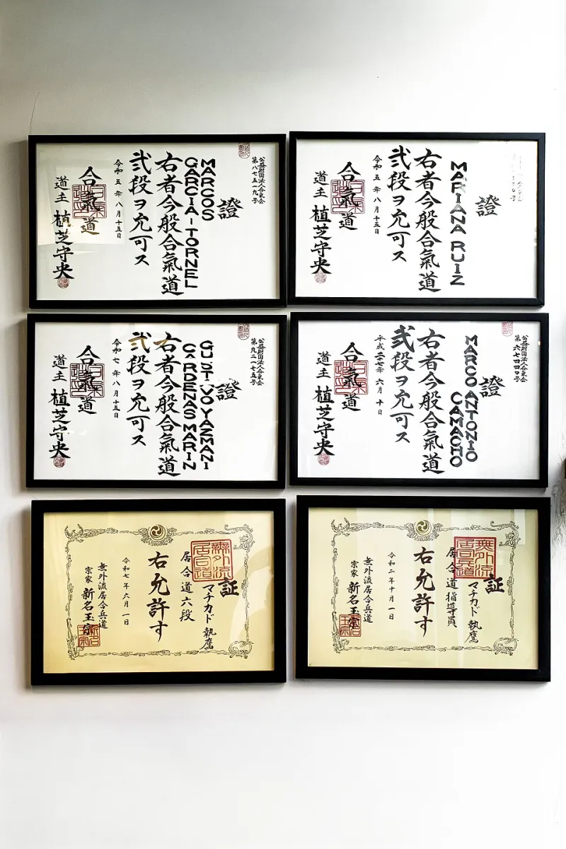 Choosing Wisely: A Practitioner's Guide to Evaluating Aikido Instructors and Dojo Communities
